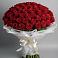 101 Красная роза Блэк Мэджик в Вятских Полянах Букет 101 Красная роза Блэк Мэджик в Вятских Полянах