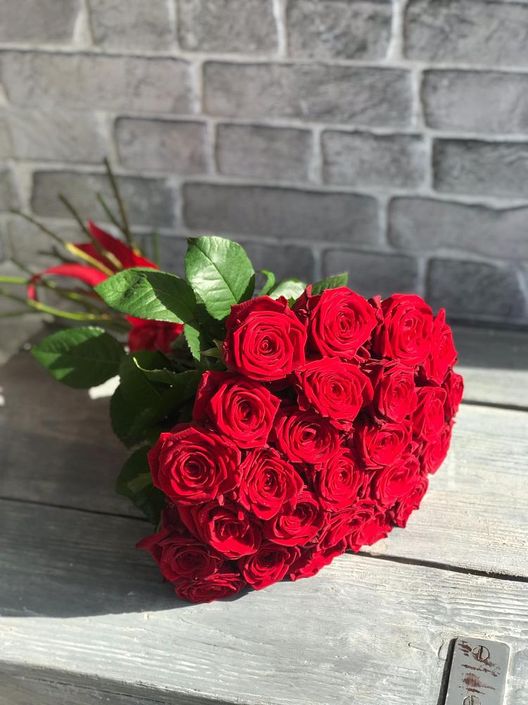 Красные розы Фридом в Вятских Полянах Букет Красные розы Фридом в Вятских Полянах