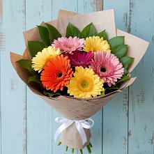 Букет яркий день #REPLACE_PRED# Вятских Полянах Букет цветов из:  Герберы #REPLACE_PRED# Вятских Полянах