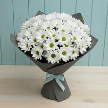 Букет белые хризантемы в Вятских Полянах Букет цветов из:  Хризантемы в Вятских Полянах