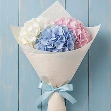Букет Нежная гортензия в Вятских Полянах Букет цветов из:  Гортензия в Вятских Полянах