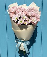 Букет Розовые хризантемы в Вятских Полянах Букет цветов из:  Хризантемы в Вятских Полянах
