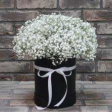 Композиция коробка гипсофил в Вятских Полянах Цветочная композиция из Гипсофила в шляпной коробке в Вятских Полянах